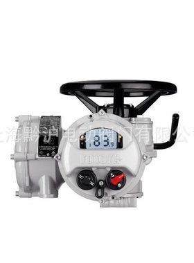 罗托克ROTORK 电动执行器IQ40F25A 144转罗托克执行器IQT250F10B4