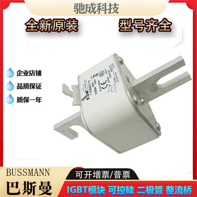 巴斯曼170M6218 170M6219 170M6220  低压保险丝诚信经营货源充足