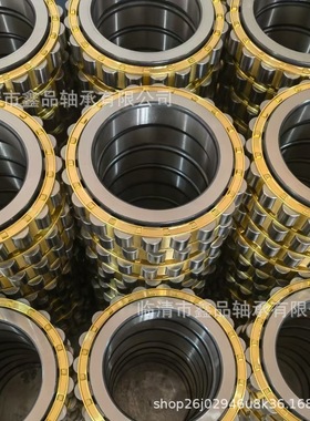 减速机轴承 RN205 310 312  222 228M 偏心轴承