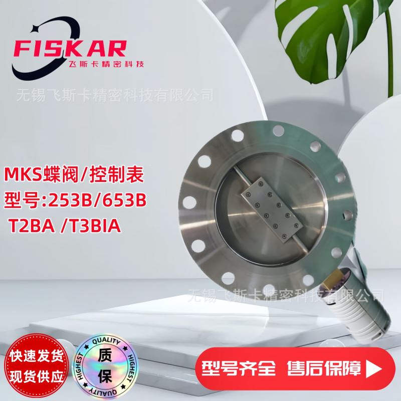 MKS 653B-25590 蝶阀 排气节流蝶阀 法兰式接口