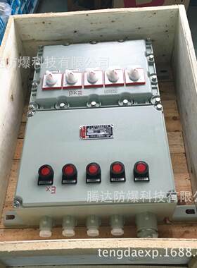 BXM)(D5防36K回路DZ4763A-小型爆配电箱防爆BXM(D)53非标电气接线