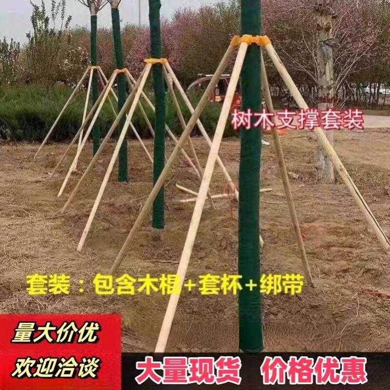 树木支撑杉木松木杨木棍防风工程支撑架杆园林绿化稳定支架固定器