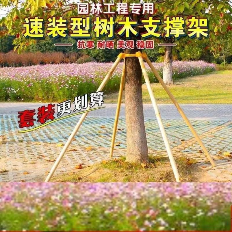 树木支撑架杉树木支撑杆绿化防风固定器大树支架支撑木棍支架套装