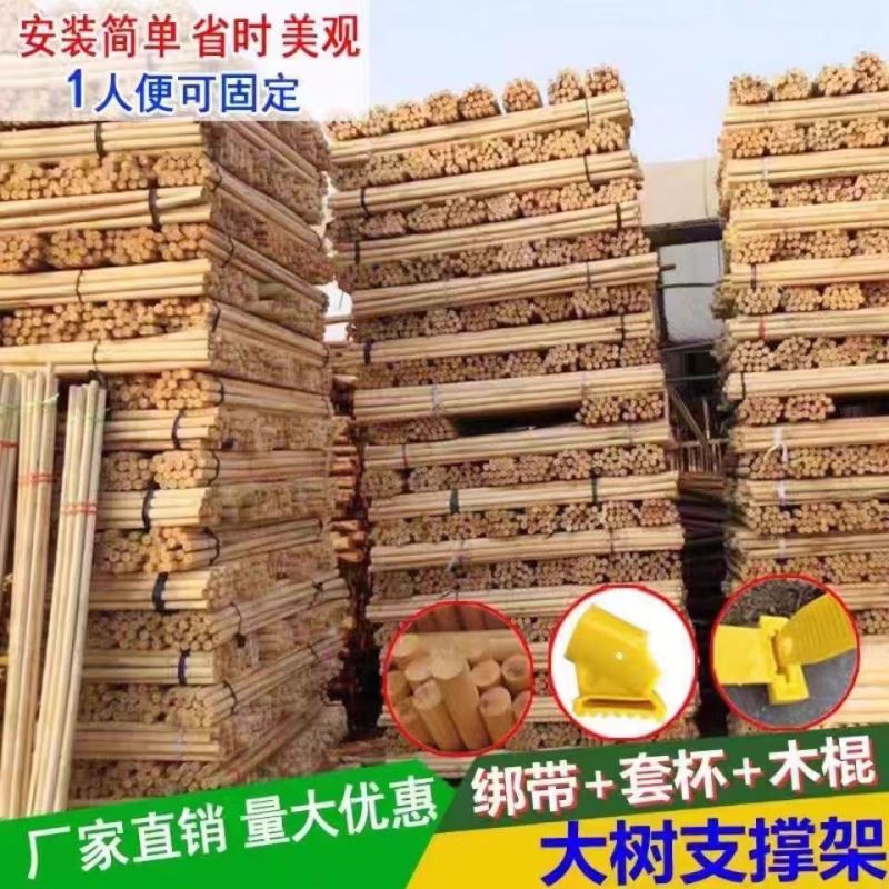 杨木支撑固定器支撑架杆杉木松木杨木棍园林绿化防风防倒稳定树木