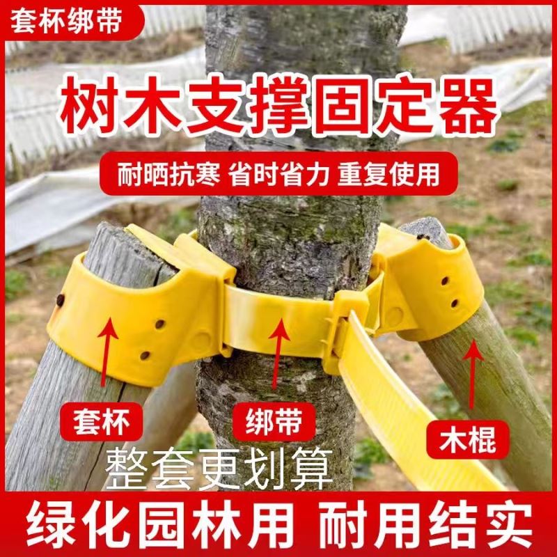 树木支撑固定器支撑架杆杉木松木杨木棍园林绿化防风工程稳定支架