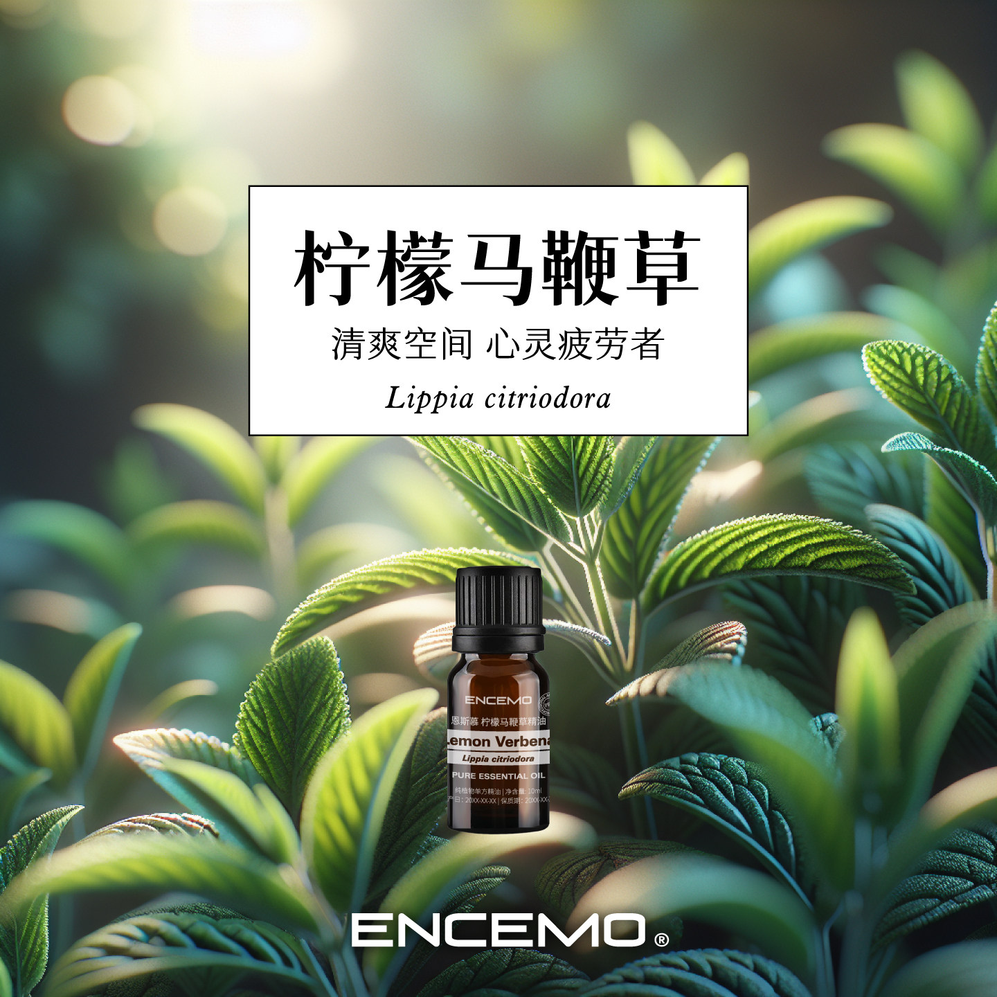 ENCEMO柠檬马鞭草单方精油图片