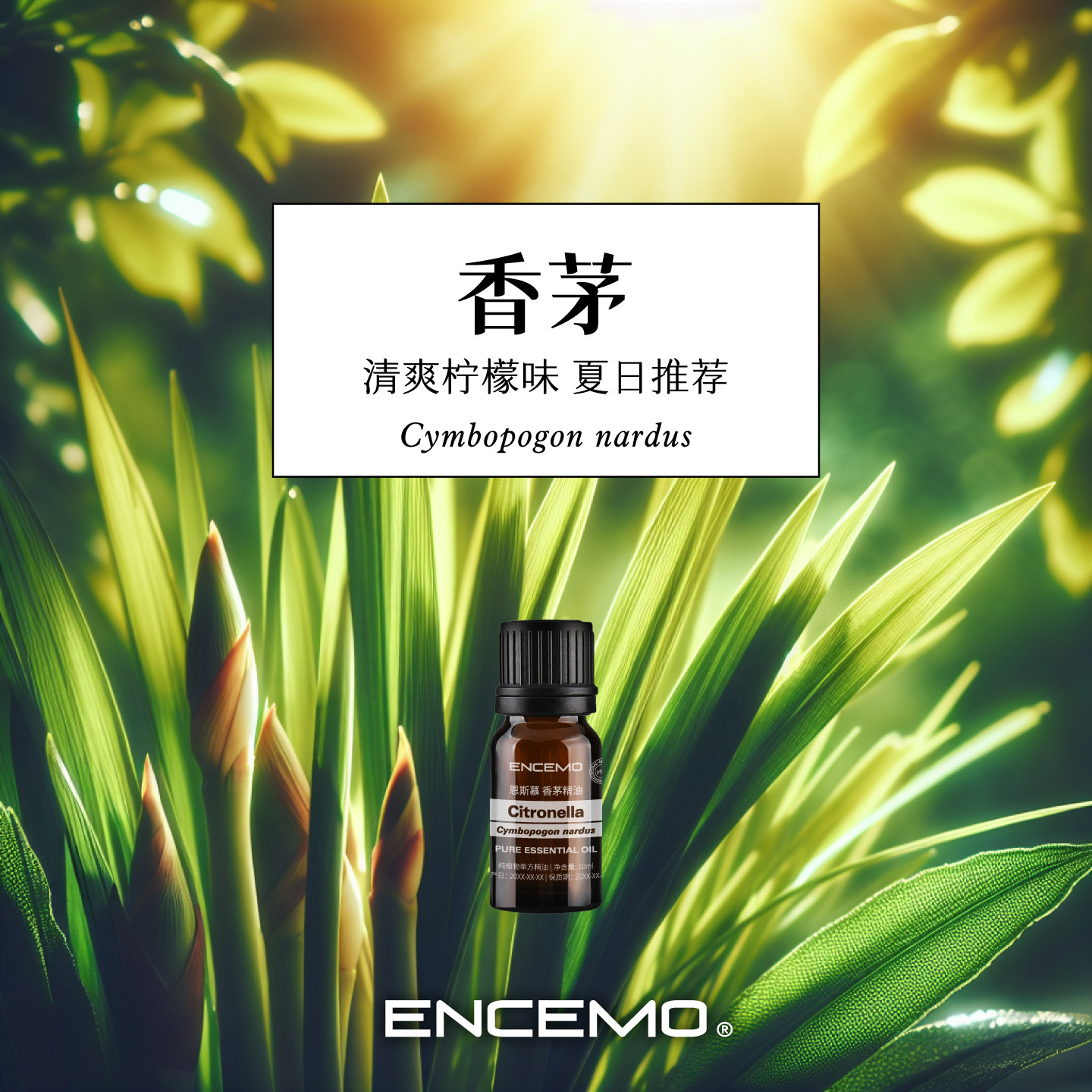 ENCEMO香茅单方精油植萃香氛柠檬图片