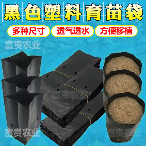 育苗袋槟榔咖啡黑色塑料育苗袋一次性加厚百香果种植袋树苗营养袋