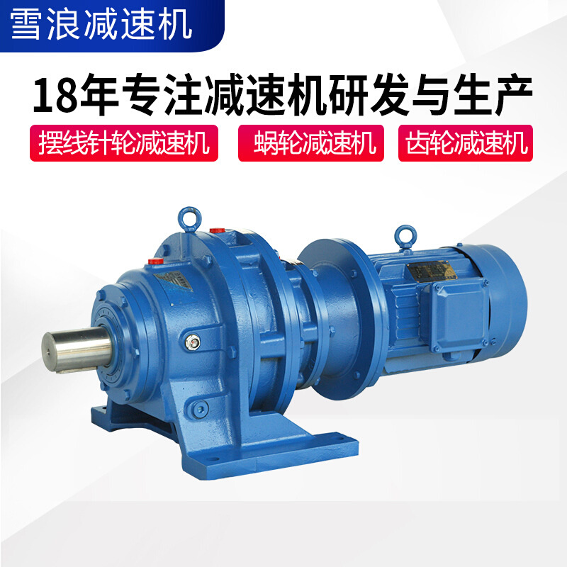 广东雪浪斜齿轮减速器卧式摆线针减速机bld立式bx系列型号厂家