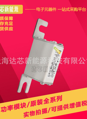 170M2618 170M2619 170M2620 170M2621全新巴斯曼熔断器,底座