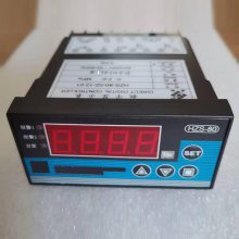 HZS-80-02-08-00N智能数字显示报警仪上海上润仪表