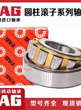 德国FAG进口圆柱滚子轴承 NJ316 NJ317 NJ318 NJ319 E XL TVP2 M1