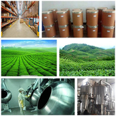 富硒蛋白 肽之家直供 品质保证 硒蛋白 水溶性 200ppm