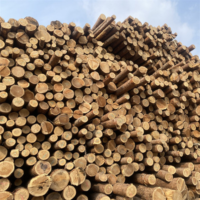 黄花松河道落叶松工程木桩防汛打桩基建4米6米搭架子河堤