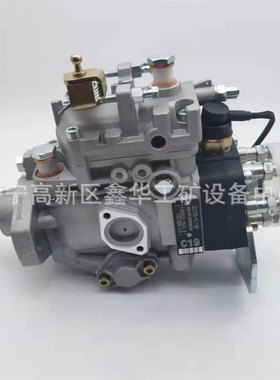 发动机配件22100-1C080 221001C080 22100-1C050 221001C050油泵