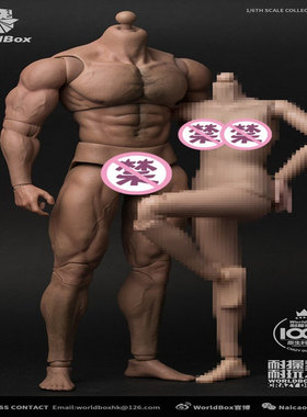 现货Worldbox AT027 1/6 耐操素体 壮汉版 男素体 现货