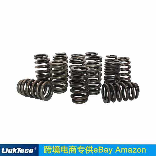 PAC-1218 Drop-In Beehive Valve Spring Kit 适用于all LS Engin