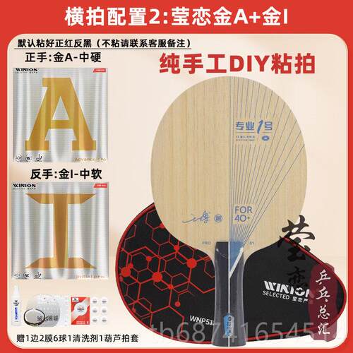 正品联银河外置Pro英-01X内置05X专业1号2号5碳球素号乒乓刀片拍