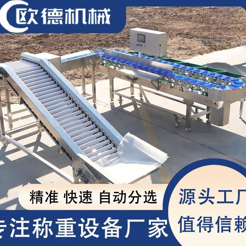 小龙虾重量分选机厂家定制小龙虾料盒分级机自动检测级别精准
