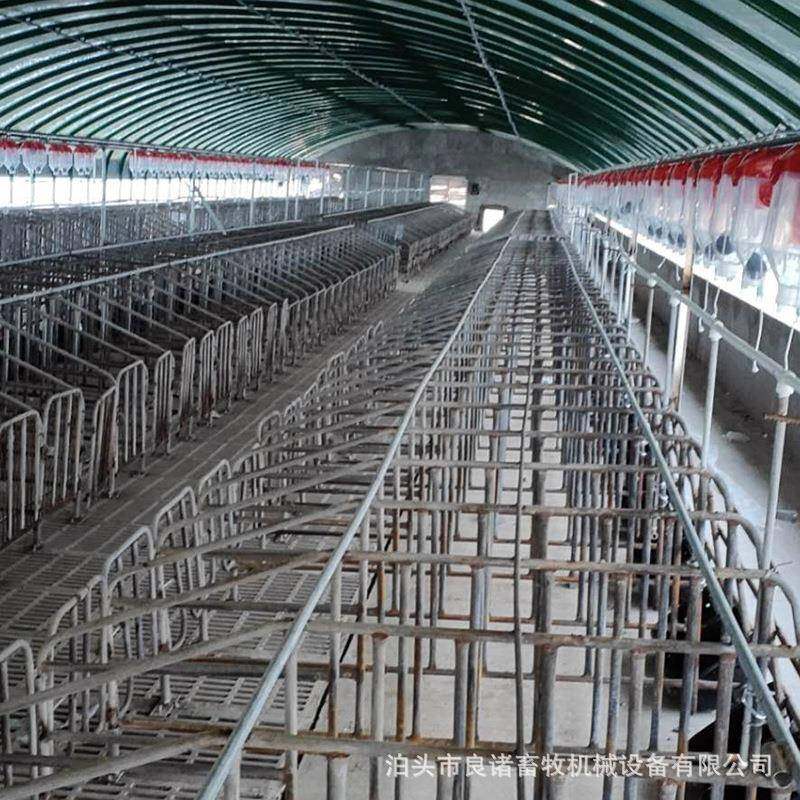 猪场用自动喂料线自动化料线设备塞盘链条式饲喂料线设备,畜牧/养殖物资,特种养殖设备,淘宝优惠券,粉丝福利购,淘宝优惠卷