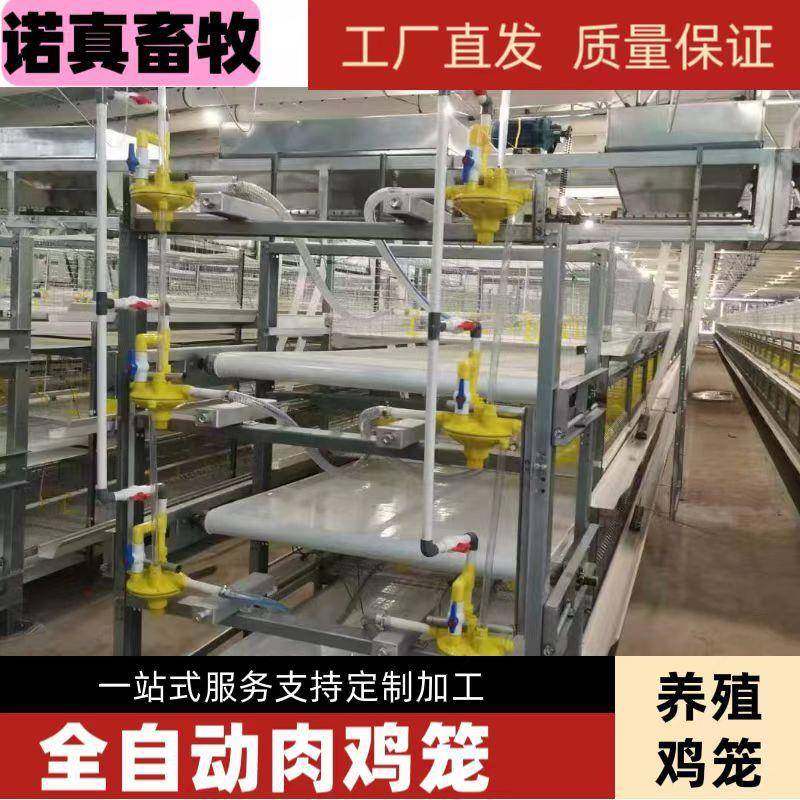 全自动肉鸡笼鸡舍养殖场用热镀锌丝自动清粪设备,畜牧/养殖物资,特种养殖设备,淘宝优惠券,粉丝福利购,淘宝优惠卷