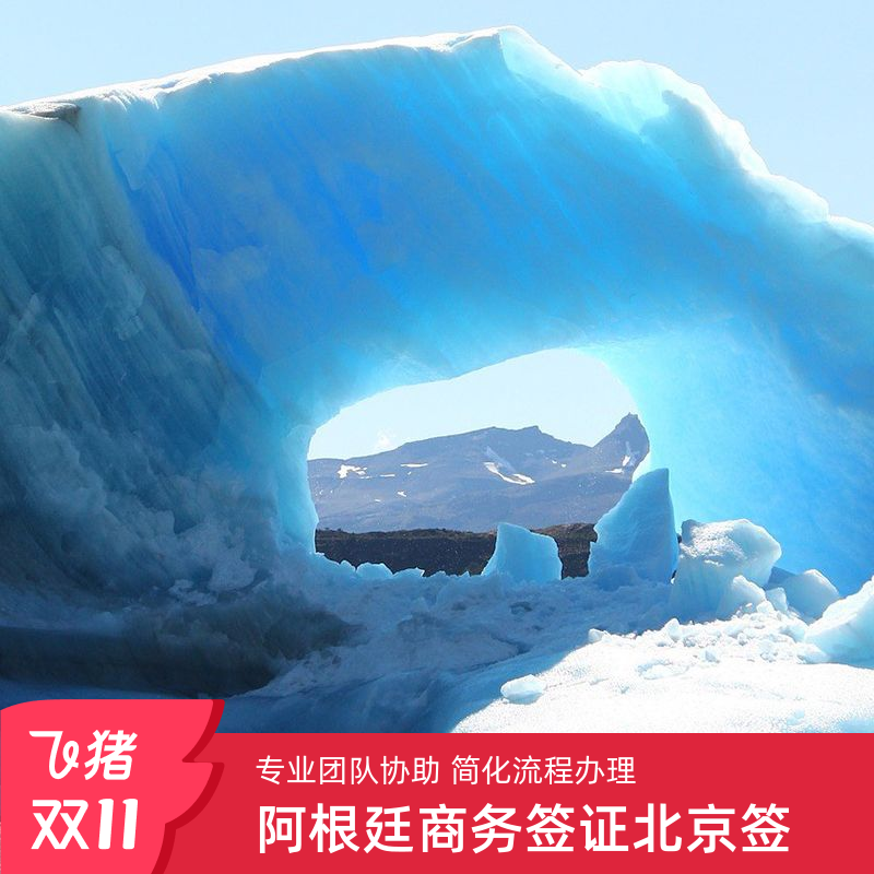 资料简单 全国办理 电子签证无需邮寄资料 电子签免面试 免担保 免机酒 高出签率,直连移民局