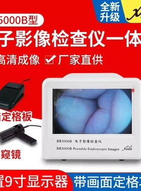 上海馨迪BR5000B高清电子影像检查仪可视采耳动物检耳鼻内窥镜观