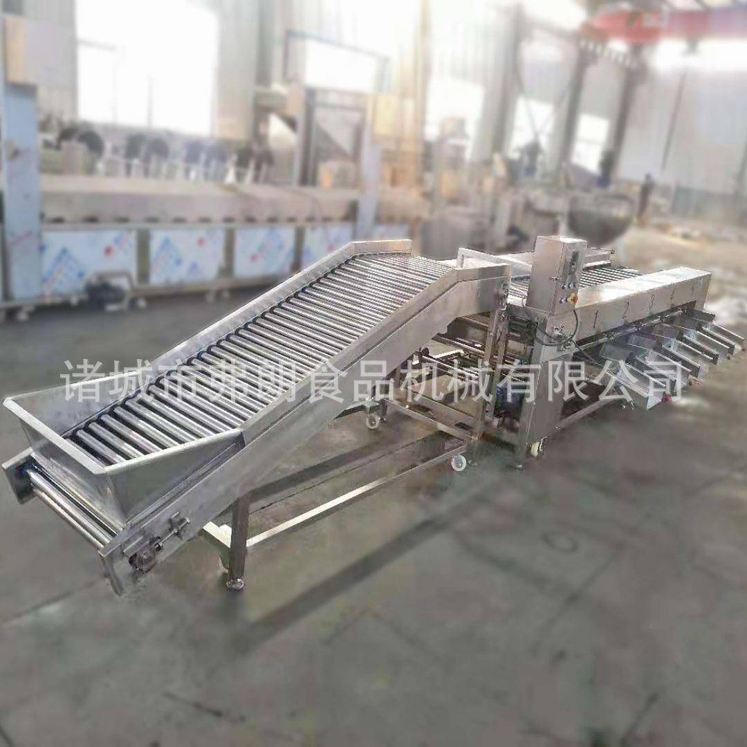 红皮小土豆分级机甜菜根分级机农贸产品大小分选设备厂家直供