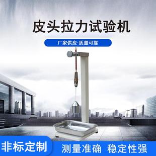 厂家多功能拉力测试实验仪器文具笔类拉力强度笔检测仪器