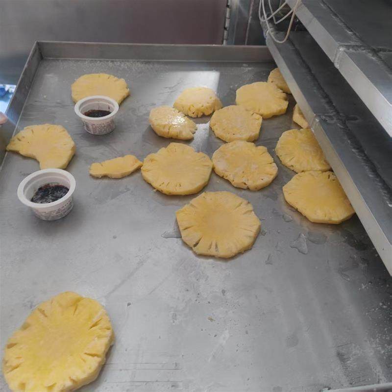 菠萝茶叶果蔬真空冻干机宠物饲料鱼饵冻干设备中药材防腐保鲜设备
