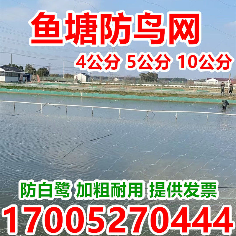 鱼塘防鸟网大网孔的网青蛙天网泥鳅锦鲤养殖场防大鸟用网四公分网