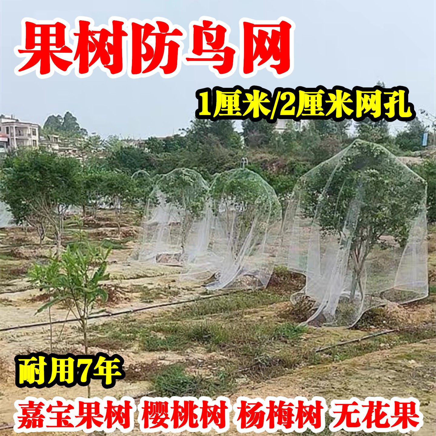 果树防鸟网樱桃树无花果嘉宝果树防鸟用的网果园防小鸟家用防鸟罩