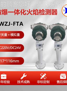 防爆一远器体化沼BWZJ-FTA气放散炬火焰探测程火监测