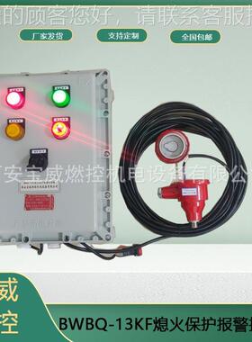 BWBQ1KF AC22护BWBQ-1K0v火焰检测火熄保控制系统- 可选配声光喇