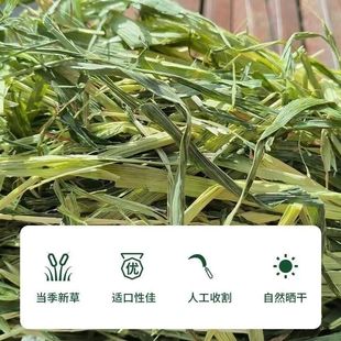 晒干燕麦草燕荷兰猪兔子草国产纯天然喂羊驼宠物店食用磨牙干草