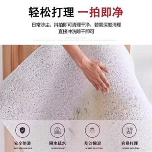 蛇年丝圈地d垫入户门垫门外进门除尘垫子脚垫红色新年乔迁门口地