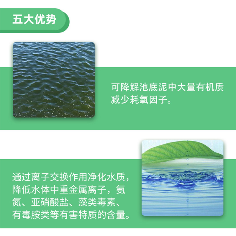 水产养殖底e改片复合盐分解改底改底片益菌增氧蟹虾鱼塘除臭,宠物/宠物食品及用品,鱼缸净水剂,淘宝优惠券,粉丝福利购,淘宝优惠卷