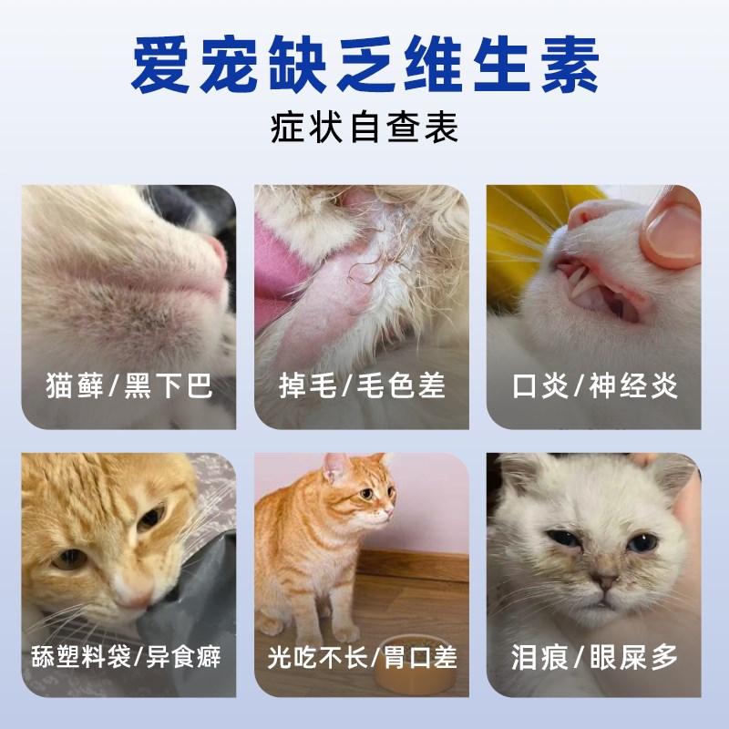 幽兔元气片宠物复k合维生素猫咪狗狗通用幼猫掉毛营养维B补充剂