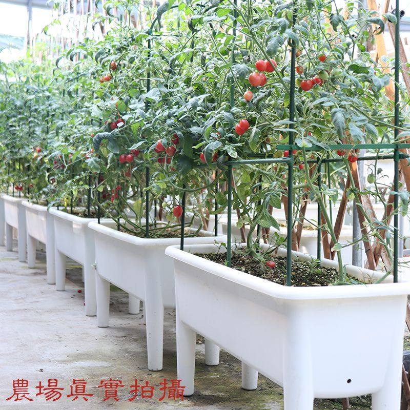 高脚室内阳台加厚耐用专用盆大号种菜盆楼顶超厚花盆长方形种菜盆,模玩/动漫/周边/娃圈三坑/桌游,文化/体育周边,淘宝优惠券,粉丝福利购,淘宝优惠卷