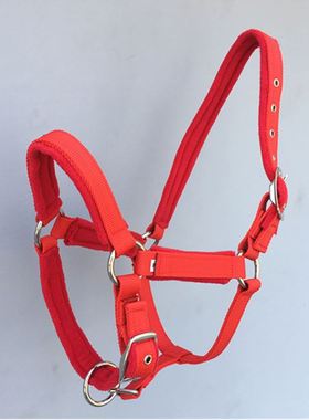 PP织带马笼头马具红色蓝色 牵马头套 厂家批发