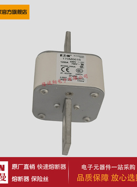 熔断器170M6609 170M6610 170M6611 170M6612 170M6613 170M6614