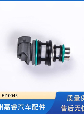 汽车喷油嘴 17113124 FJ100 FJ10045 17113197 全新油嘴