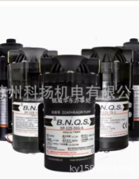 B.N.Q.S.隔膜泵DIAPHRAGM PUMP DP-125-50G-6 DP-125-75-1 增压泵