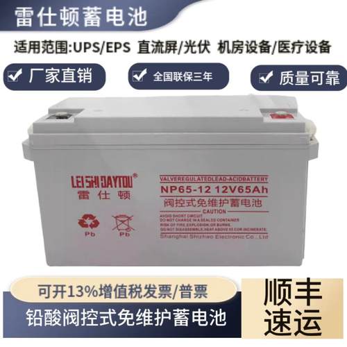 雷仕顿铅酸蓄电池NP100-12V100AH65AH38AH24AH17AH120AH150Ah200A
