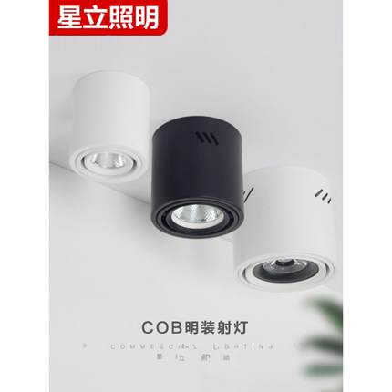 Led筒灯聚光表面安装斯堪的纳维亚入口灯天花灯天花灯Cob工业风格
