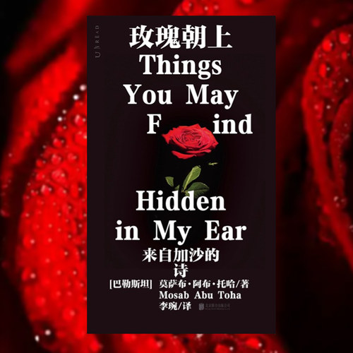 玫瑰朝上：来自加沙的诗 普利策奖得主作品 90后巴勒斯坦 未读