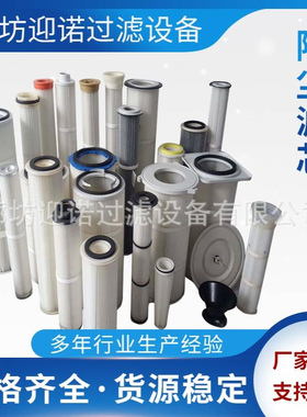 迎诺 三耳旋装滤筒 丹腾Dantherm滤筒 AMANO安满能PPc60滤筒