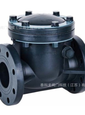 H44F-10UUPVC旋启式止回阀横卧式塑料防腐摆动式翻板单向逆止回阀