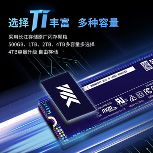 致态（ZhiTai）长江存储 500GB  NVMe M.2接口 Ti600系列