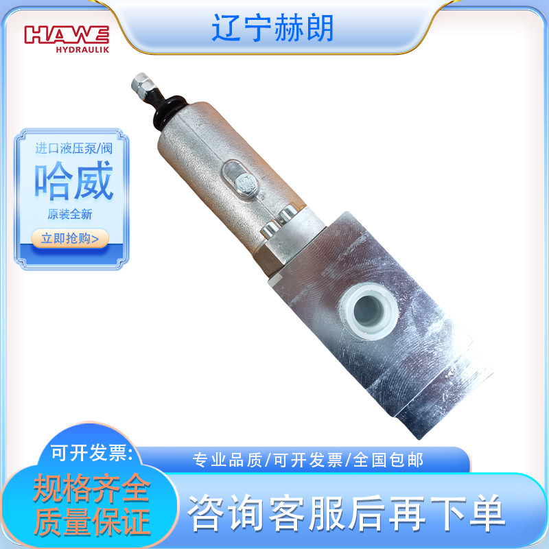 HAWE进口SL 5-52 H 160/160 A50 B165/EA-G 24 EX液压阀油泵阀